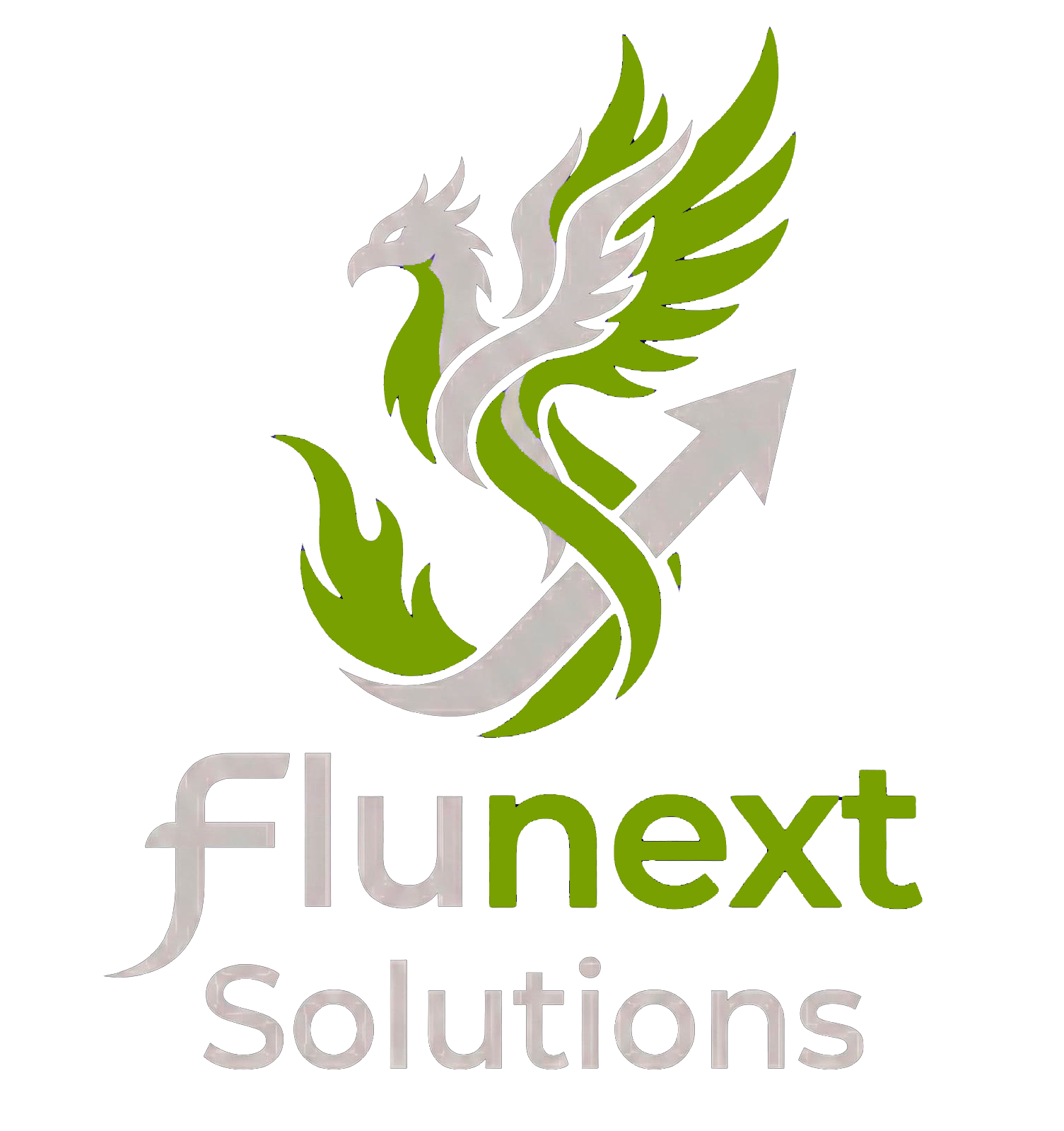 FLUNEXT Solutions